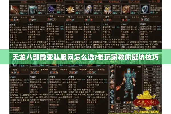 天龙八部微变私服网怎么选?老玩家教你避坑技巧