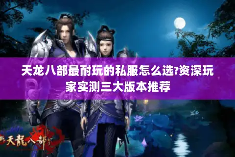 天龙八部最耐玩的私服怎么选?资深玩家实测三大版本推荐 天龙八部最耐玩的私服怎么选?资深玩家实测三大版本推荐