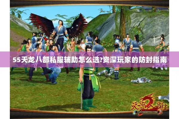 55天龙八部私服辅助怎么选?资深玩家的防封指南 55天龙八部私服辅助怎么选?资深玩家的防封指南