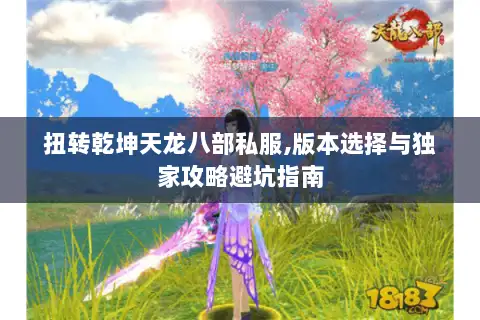 扭转乾坤天龙八部私服,版本选择与独家攻略避坑指南