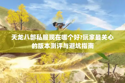 天龙八部私服现在哪个好?玩家最关心的版本测评与避坑指南 天龙八部私服现在哪个好?玩家最关心的版本测评与避坑指南