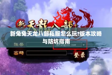 新兔兔天龙八部私服怎么玩?版本攻略与防坑指南 新兔兔天龙八部私服怎么玩?版本攻略与防坑指南