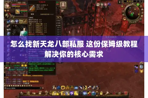 怎么找新天龙八部私服 这份保姆级教程解决你的核心需求