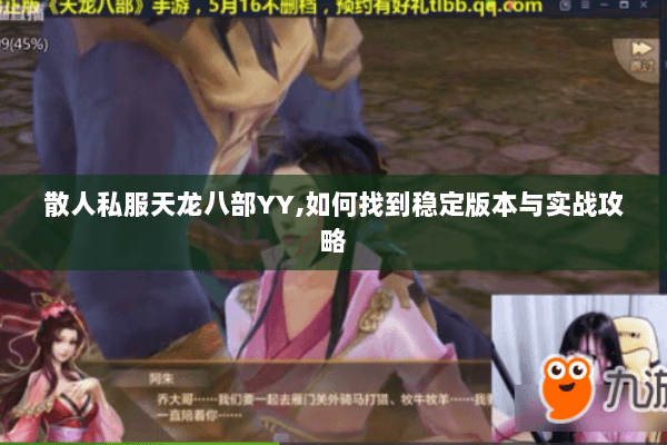 散人私服天龙八部YY,如何找到稳定版本与实战攻略