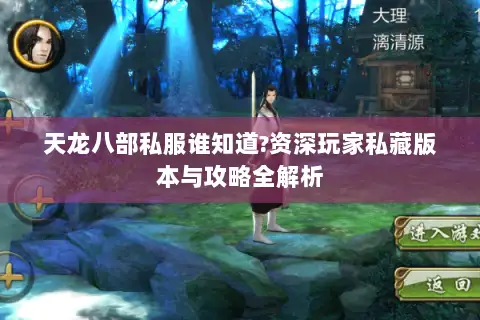天龙八部私服谁知道?资深玩家私藏版本与攻略全解析
