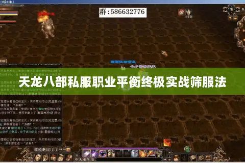 天龙八部私服职业平衡终极实战筛服法