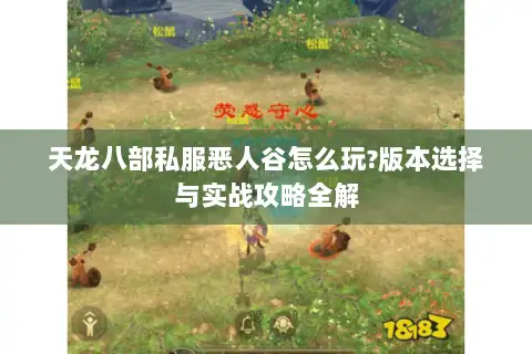 天龙八部私服恶人谷怎么玩?版本选择与实战攻略全解 天龙八部私服恶人谷怎么玩?版本选择与实战攻略全解