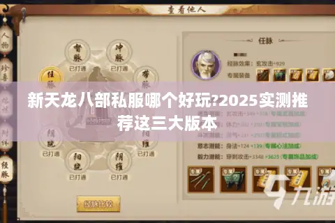 新天龙八部私服哪个好玩?2025实测推荐这三大版本 新天龙八部私服哪个好玩?2025实测推荐这三大版本
