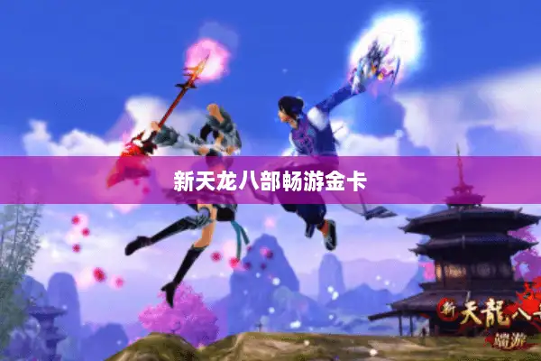 新天龙八部畅游金卡