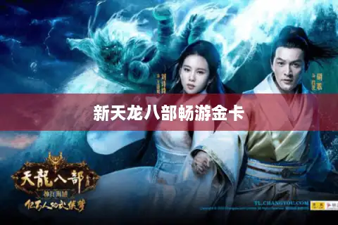 新天龙八部畅游金卡