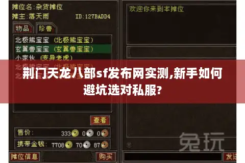 荆门天龙八部sf发布网实测,新手如何避坑选对私服?