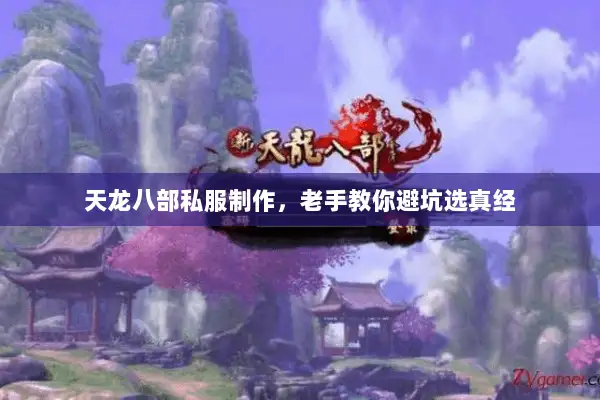 天龙八部私服制作，老手教你避坑选真经