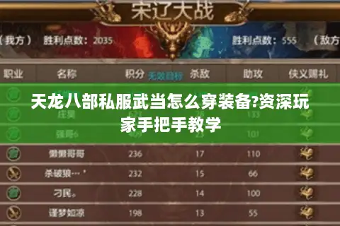 天龙八部私服武当怎么穿装备?资深玩家手把手教学