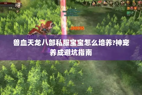 兽血天龙八部私服宝宝怎么培养?神宠养成避坑指南 兽血天龙八部私服宝宝怎么培养?神宠养成避坑指南