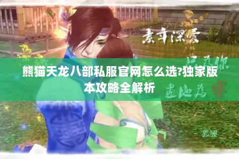熊猫天龙八部私服官网怎么选?独家版本攻略全解析
