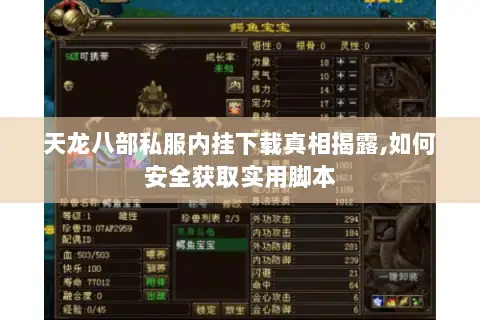 天龙八部私服内挂下载真相揭露,如何安全获取实用脚本