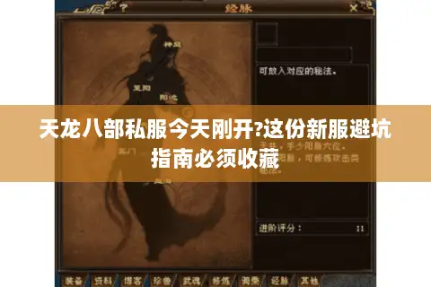 天龙八部私服今天刚开?这份新服避坑指南必须收藏 天龙八部私服今天刚开?这份新服避坑指南必须收藏