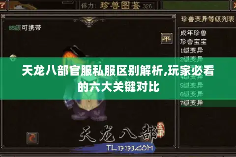 天龙八部官服私服区别解析,玩家必看的六大关键对比