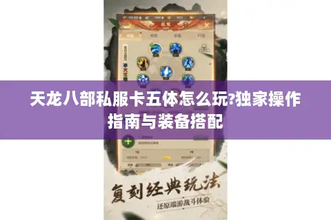 天龙八部私服卡五体怎么玩?独家操作指南与装备搭配