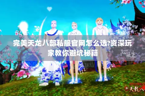 完美天龙八部私服官网怎么选?资深玩家教你避坑秘籍 完美天龙八部私服官网怎么选?资深玩家教你避坑秘籍