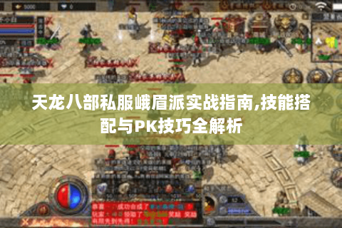 天龙八部私服峨眉派实战指南,技能搭配与PK技巧全解析 天龙八部私服峨眉派实战指南,技能搭配与PK技巧全解析