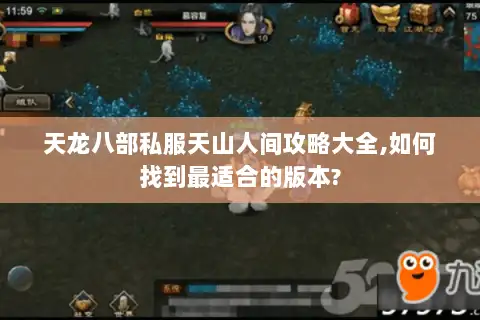 天龙八部私服天山人间攻略大全,如何找到最适合的版本? 天龙八部私服天山人间攻略大全,如何找到最适合的版本?