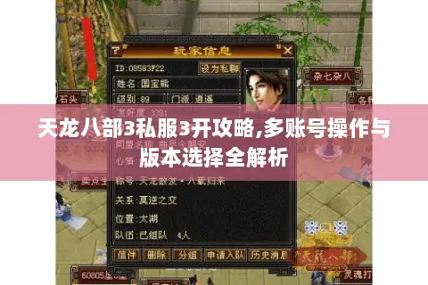 天龙八部3私服3开攻略,多账号操作与版本选择全解析
