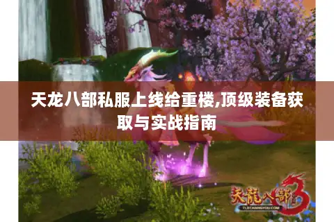 天龙八部私服上线给重楼,顶级装备获取与实战指南 天龙八部私服上线给重楼,顶级装备获取与实战指南