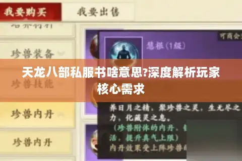 天龙八部私服书啥意思?深度解析玩家核心需求