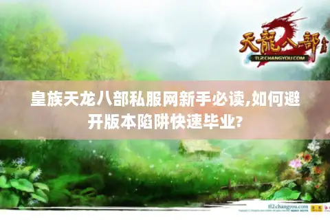 皇族天龙八部私服网新手必读,如何避开版本陷阱快速毕业?