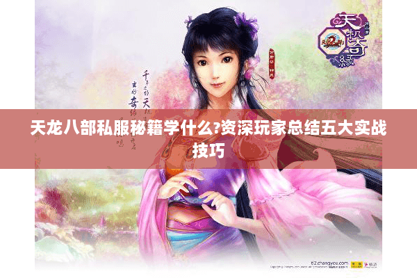 天龙八部私服秘籍学什么?资深玩家总结五大实战技巧