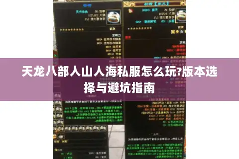 天龙八部人山人海私服怎么玩?版本选择与避坑指南