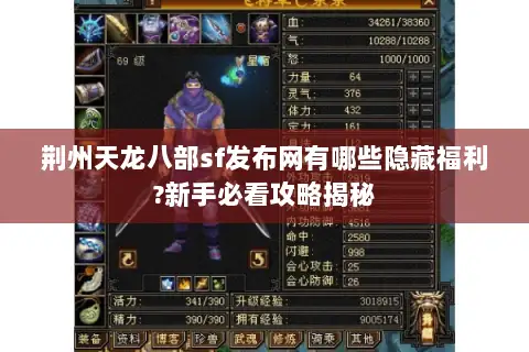 荆州天龙八部sf发布网有哪些隐藏福利?新手必看攻略揭秘