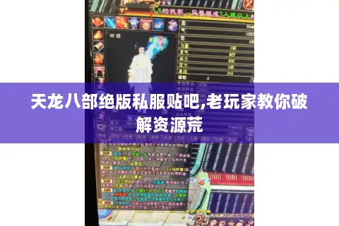 天龙八部绝版私服贴吧,老玩家教你破解资源荒