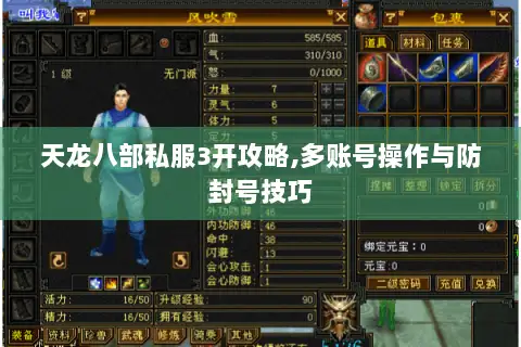 天龙八部私服3开攻略,多账号操作与防封号技巧