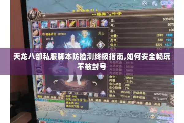 天龙八部私服脚本防检测终极指南,如何安全畅玩不被封号