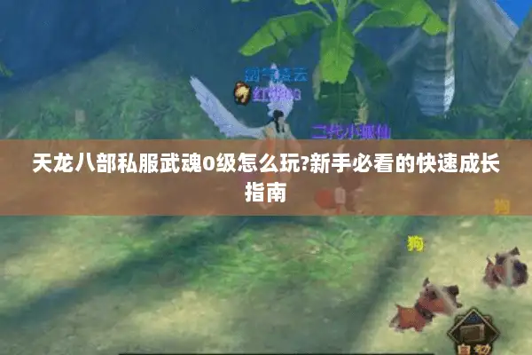天龙八部私服武魂0级怎么玩?新手必看的快速成长指南 天龙八部私服武魂0级怎么玩?新手必看的快速成长指南