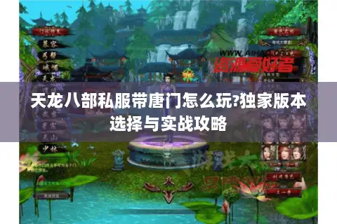 天龙八部私服带唐门怎么玩?独家版本选择与实战攻略