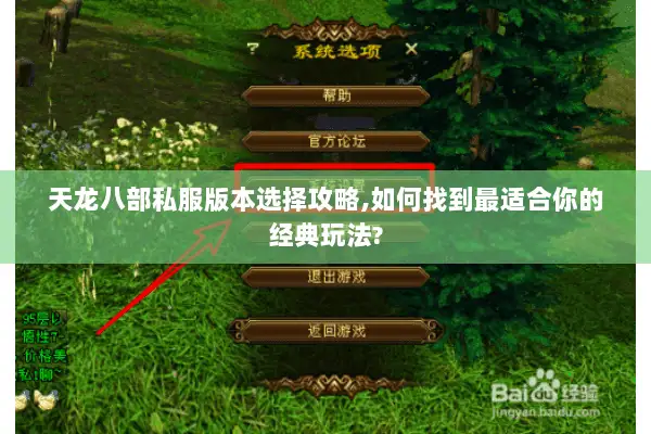 天龙八部私服版本选择攻略,如何找到最适合你的经典玩法? 天龙八部私服版本选择攻略,如何找到最适合你的经典玩法?