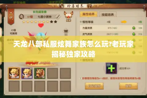 天龙八部私服炫舞家族怎么玩?老玩家揭秘独家攻略
