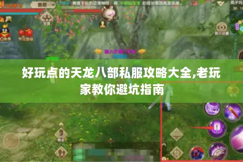 好玩点的天龙八部私服攻略大全,老玩家教你避坑指南 好玩点的天龙八部私服攻略大全,老玩家教你避坑指南