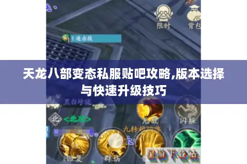天龙八部变态私服贴吧攻略,版本选择与快速升级技巧