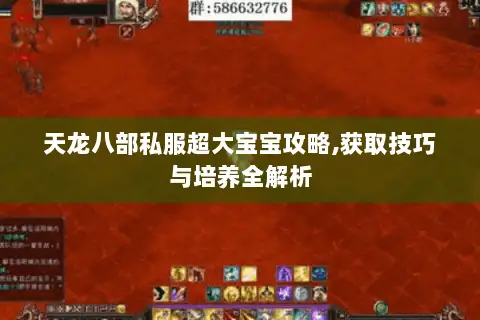天龙八部私服超大宝宝攻略,获取技巧与培养全解析 天龙八部私服超大宝宝攻略,获取技巧与培养全解析