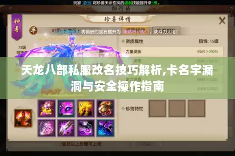 天龙八部私服改名技巧解析,卡名字漏洞与安全操作指南