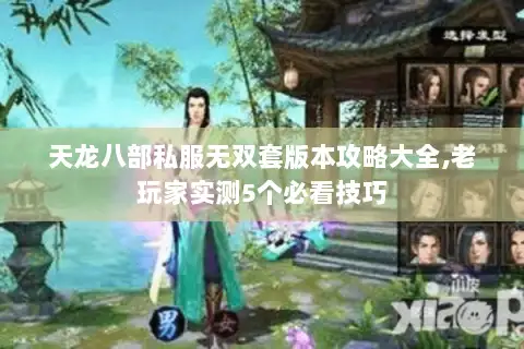 天龙八部私服无双套版本攻略大全,老玩家实测5个必看技巧
