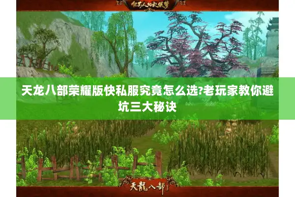 天龙八部荣耀版快私服究竟怎么选?老玩家教你避坑三大秘诀 天龙八部荣耀版快私服究竟怎么选?老玩家教你避坑三大秘诀