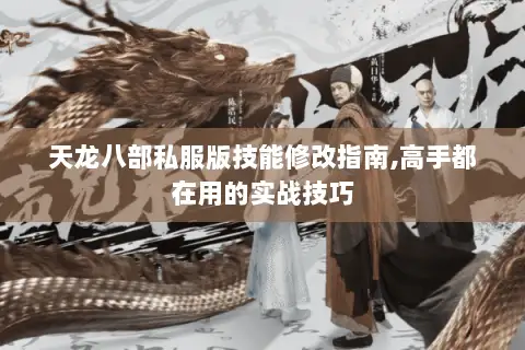 天龙八部私服版技能修改指南,高手都在用的实战技巧