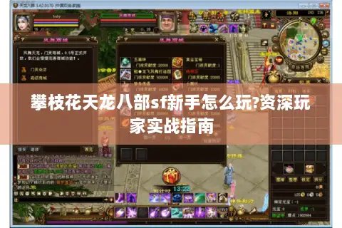 攀枝花天龙八部sf新手怎么玩?资深玩家实战指南