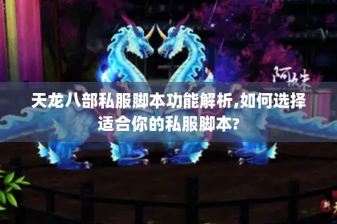 天龙八部私服脚本功能解析,如何选择适合你的私服脚本?