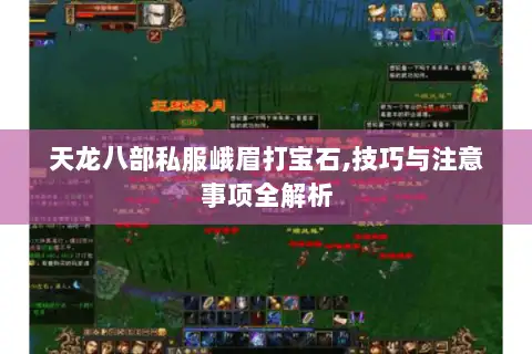 天龙八部私服峨眉打宝石,技巧与注意事项全解析 天龙八部私服峨眉打宝石,技巧与注意事项全解析